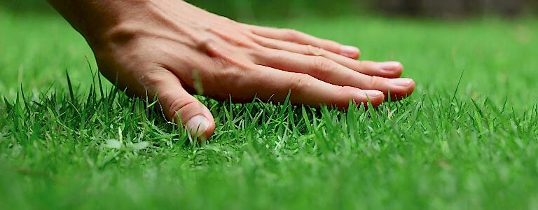 Turf