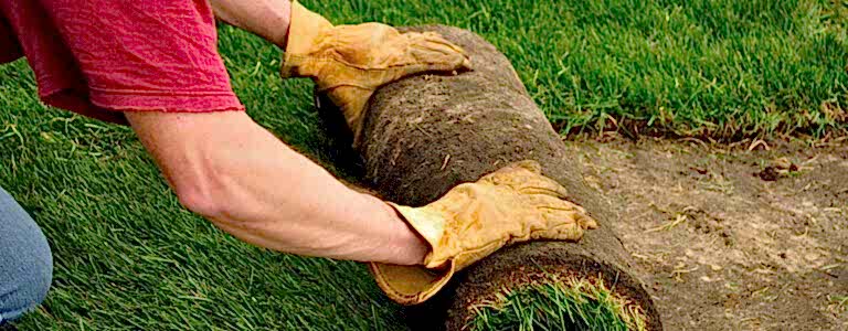 Turf supplies