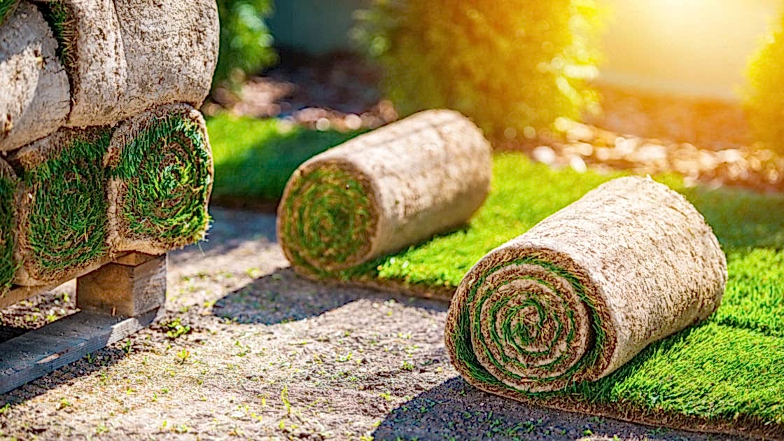 How to determine high-quality turf How to determine high-quality turf